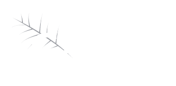 Logo O Gran Camiño